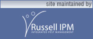 Maintained by Russell IPM